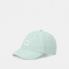 Accessoires * | Rag & Bone Addison Baseball Unisex Cap Mint